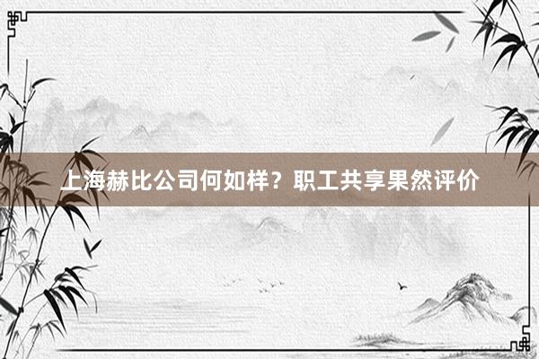 上海赫比公司何如样？职工共享果然评价